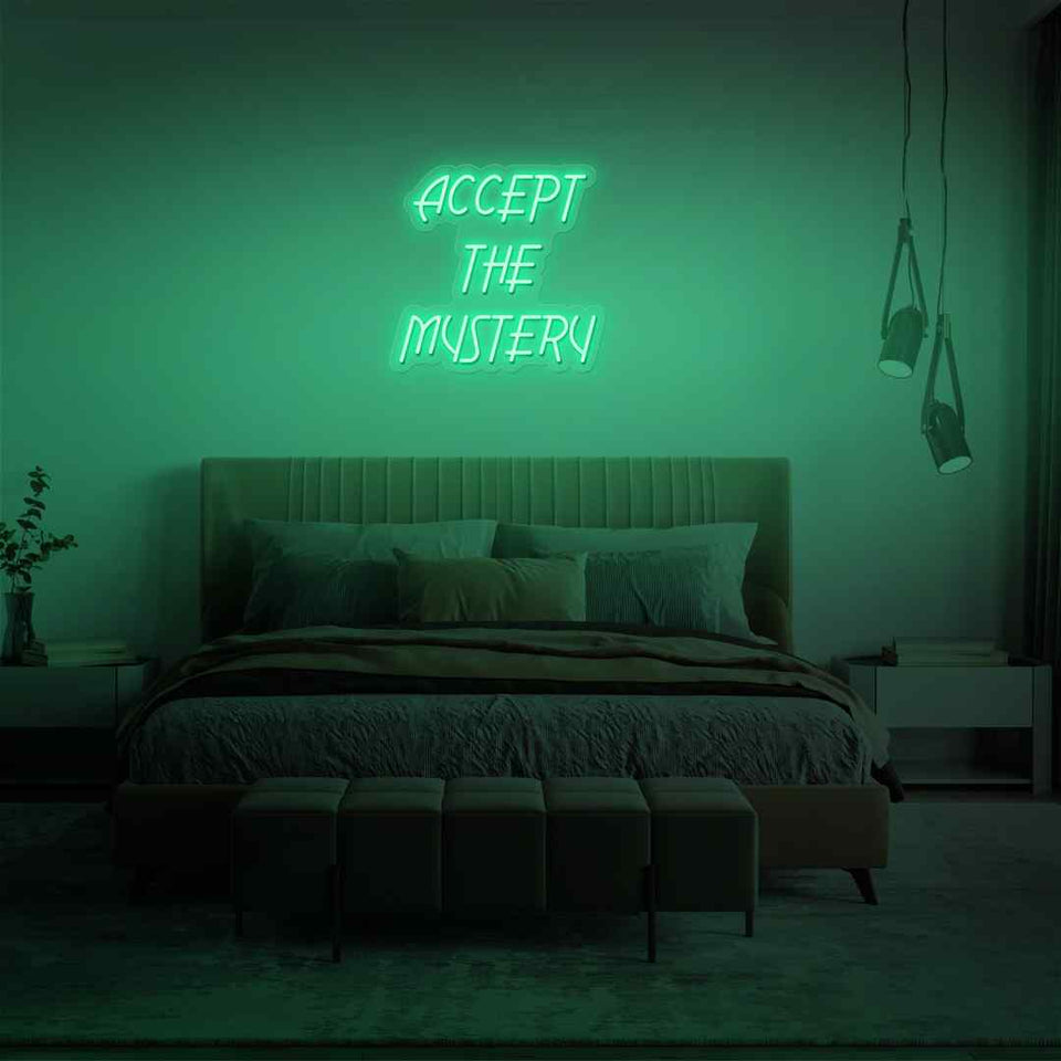 Accept the mystery neon sign