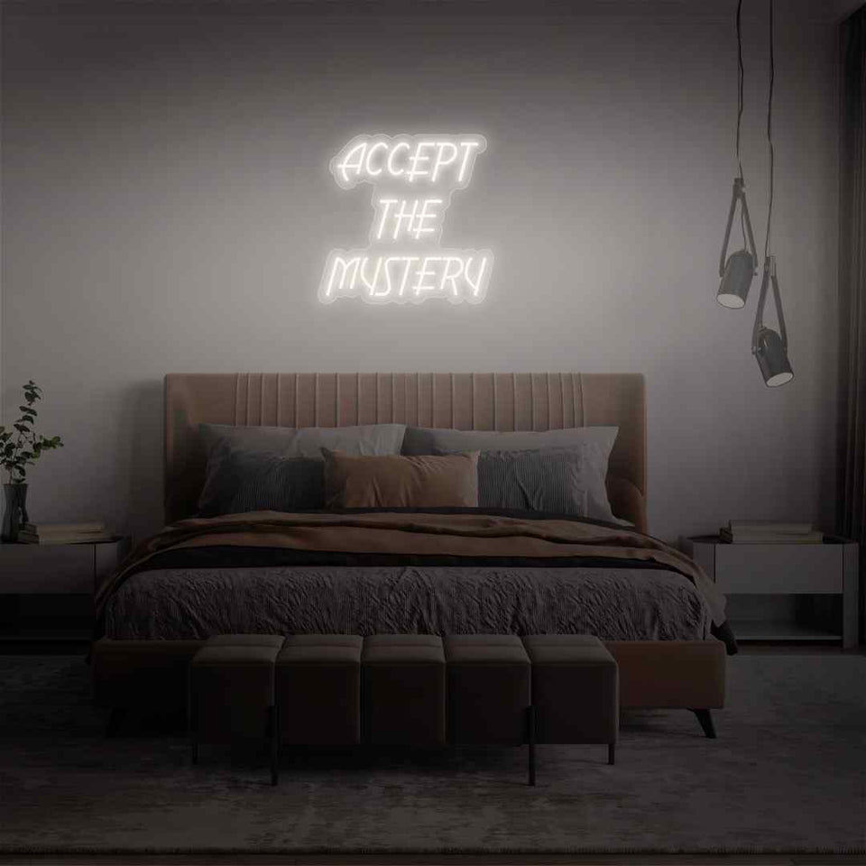 Accept the mystery neon sign