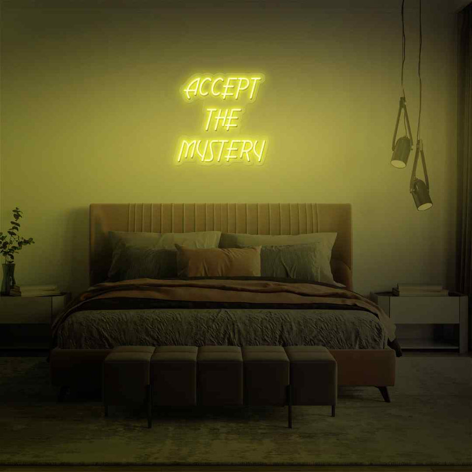 Accept the mystery neon sign
