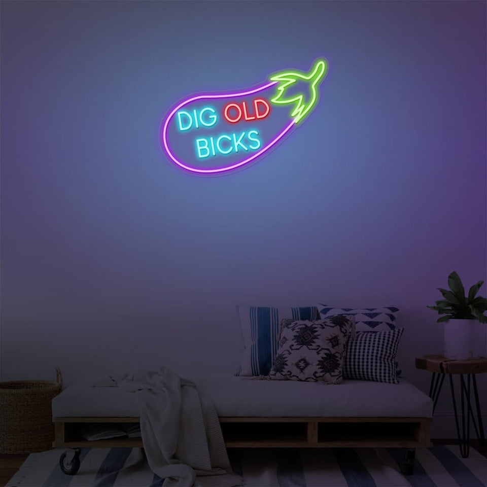 DIG OLD BICKS NEON SIGN