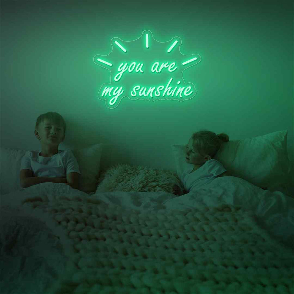 You are my sunshine neon sign